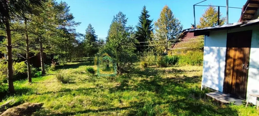 Участок в Ленинградская область, Гатчинский муниципальный округ, Ухта ... - Фото 2