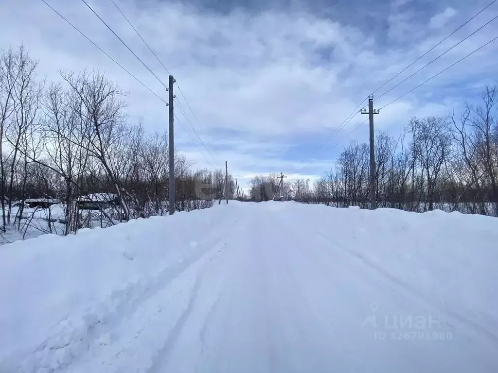 Участок в Камчатский край, Елизовский муниципальный округ, Мираж СНТ  ... - Фото 2