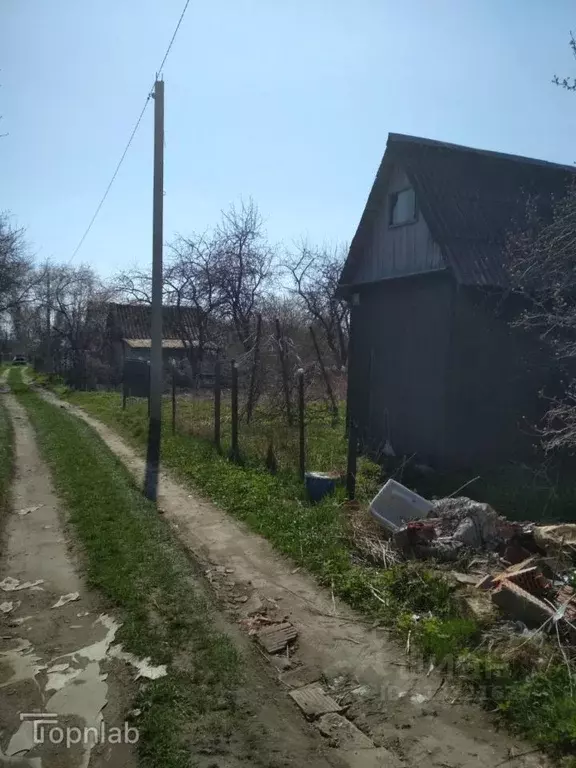 Дом в Калининградская область, Калининград Дельфин СНТ, ул. Сосновая, ... - Фото 0