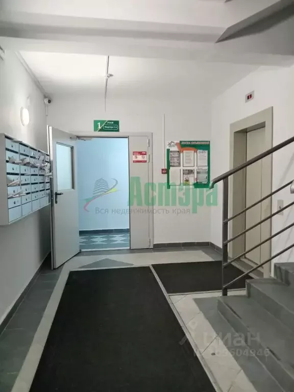 3-к кв. Забайкальский край, Чита ул. Ленина, 2К (70.0 м) - Фото 1