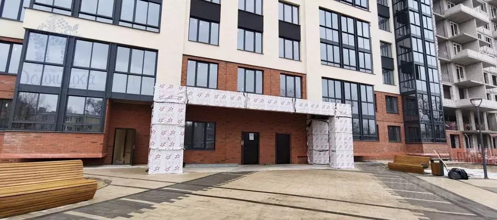 Студия Воронежская область, Воронеж Московский просп., 66 (24.9 м) - Фото 2