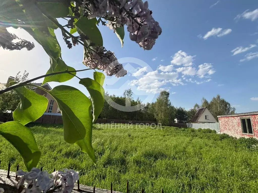 Участок в Московская область, Клин городской округ, д. Васильково  ... - Фото 0