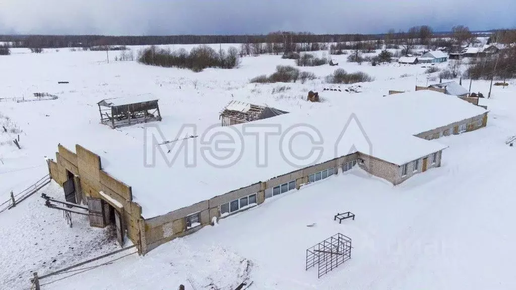 Участок в Тверская область, Кесовогорский муниципальный округ, с. ... - Фото 1