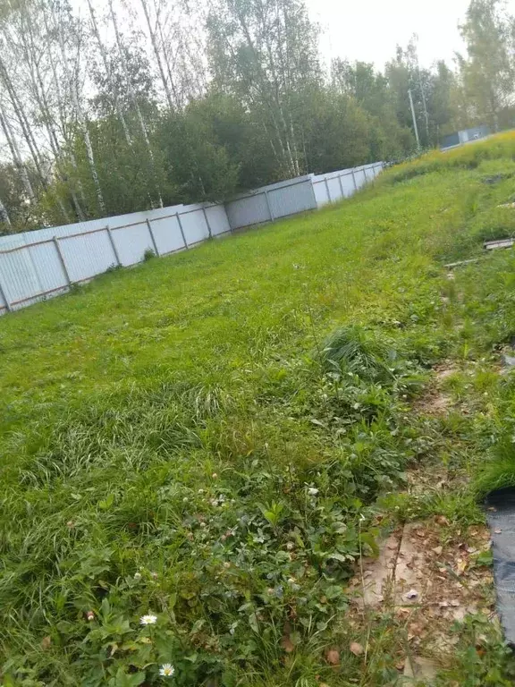 Участок в Калужская область, Боровский муниципальный округ, Совьяки ... - Фото 2