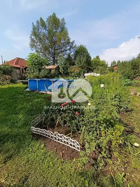 Участок в Новосибирская область, Новосибирск Дружба садовое ... - Фото 1