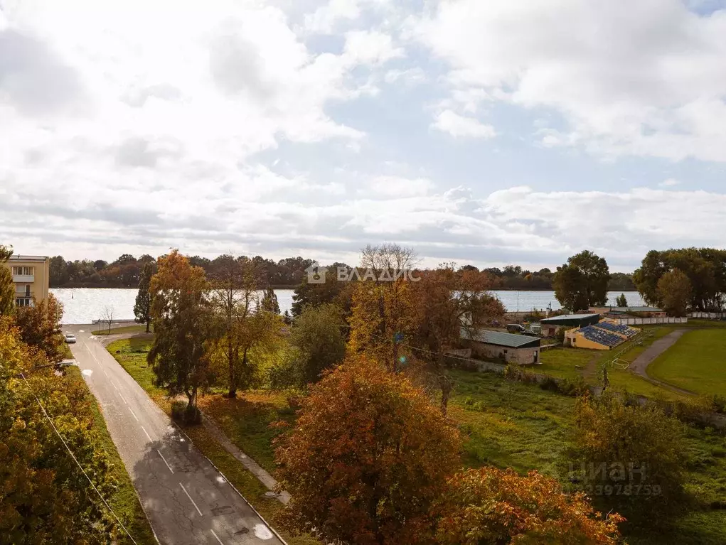 2-к кв. Калининградская область, Светлый Молодежная ул., 1 (39.8 м) - Фото 1