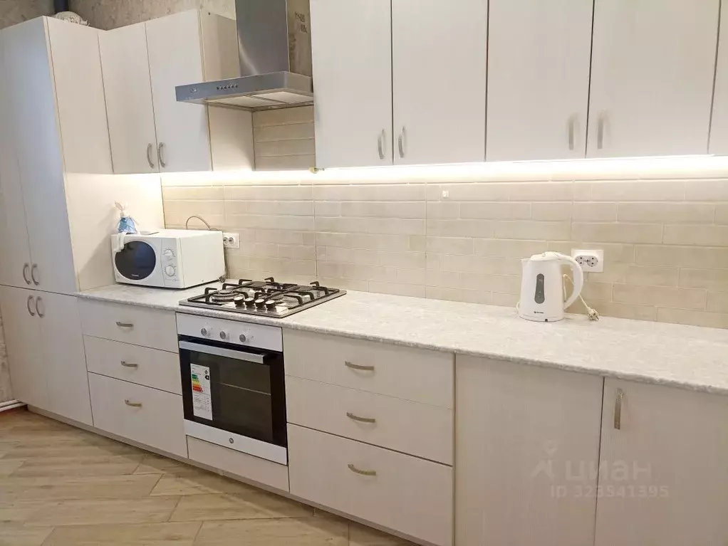 1-к кв. Рязанская область, Рязань ул. Чкалова, 18 (45.0 м) - Фото 1