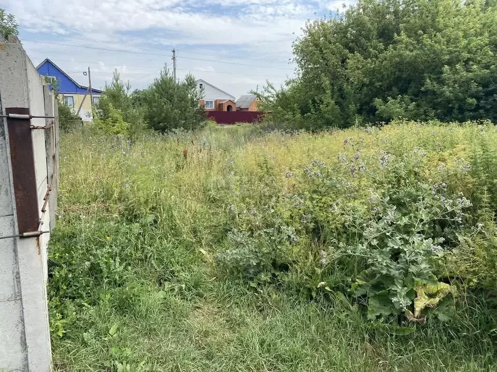 Участок в Мордовия, Лямбирский район, Большеелховское с/пос, с. ... - Фото 1