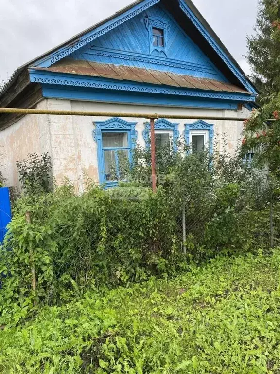 Дом в Нижегородская область, Перевозский муниципальный округ, д. Чепас ... - Фото 1