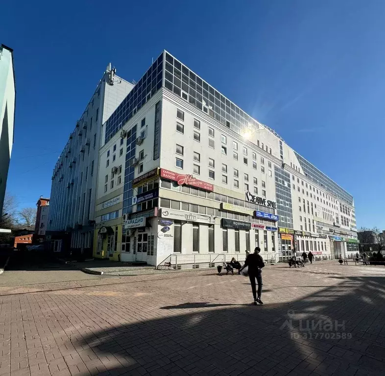 Помещение свободного назначения в Тверская область, Тверь Трехсвятская ... - Фото 2