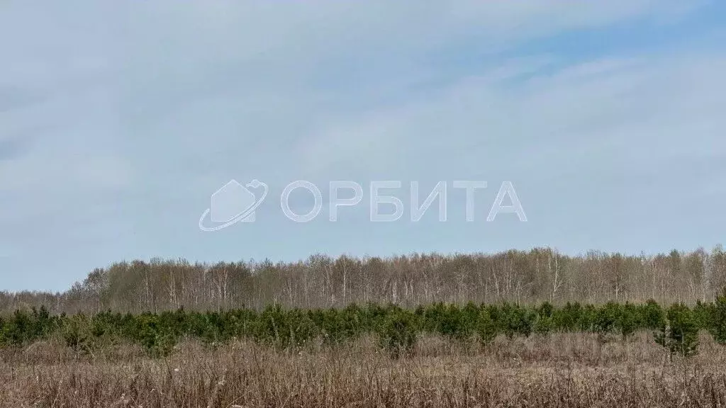 Участок в Тюменская область, Тюменский район, пос. Новотарманский ... - Фото 0