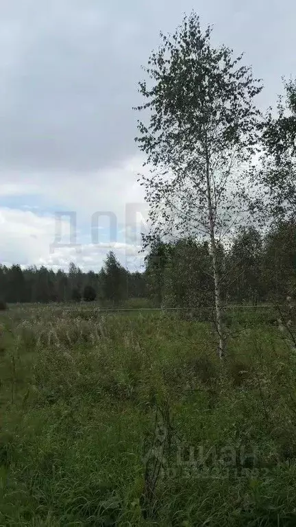 Участок в Свердловская область, Екатеринбург просп. Ленина (15.0 сот.) - Фото 1