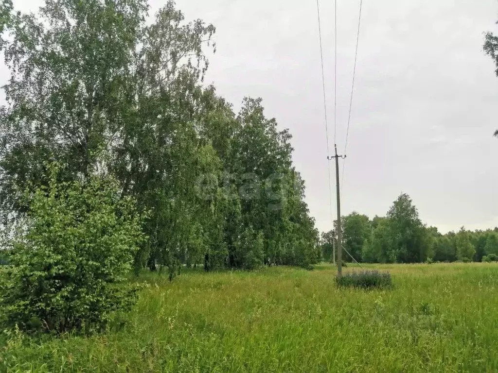 Участок в Челябинская область, Красноармейский муниципальный округ, с. ... - Фото 0