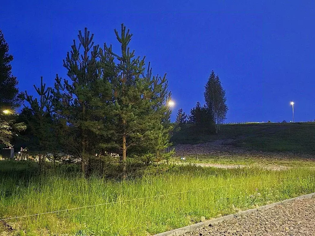 Участок в Ленинградская область, Ломоносовский район, Низинское с/пос, ... - Фото 1