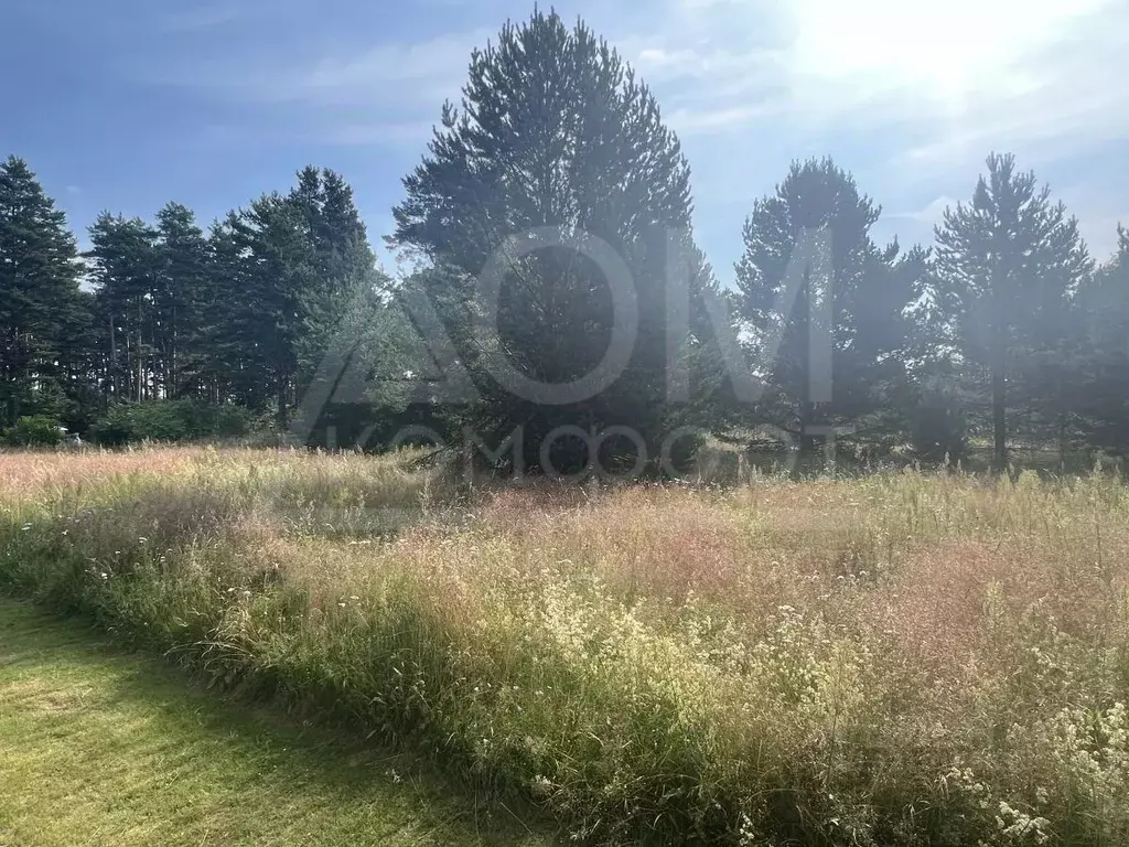Участок в Ленинградская область, Приозерский район, Ларионовское ... - Фото 2
