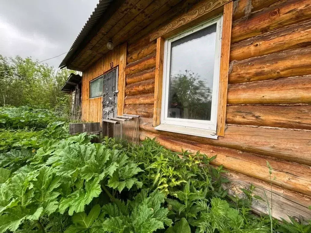 Дом в Пермский край, Чернушинский городской округ, с. Тауш ул. ... - Фото 0
