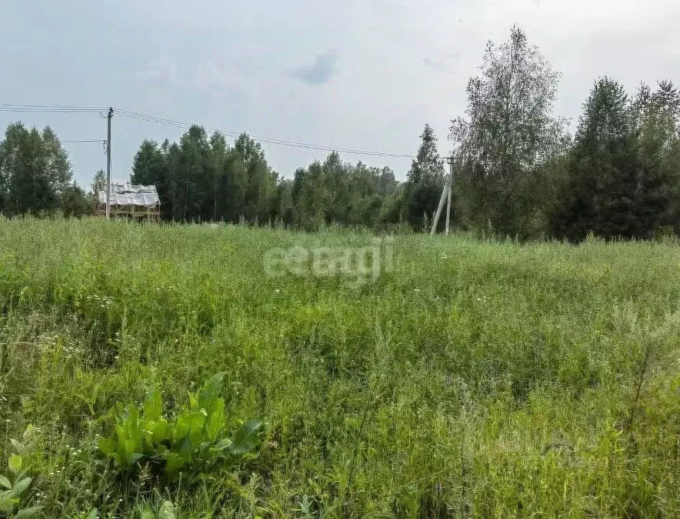 Участок в Новосибирская область, Новосибирский район, Раздольненский ... - Фото 0