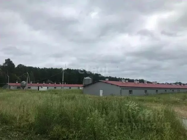 Склад в Калужская область, Юхновский район, Беляево с/пос, д. Беляево ... - Фото 1