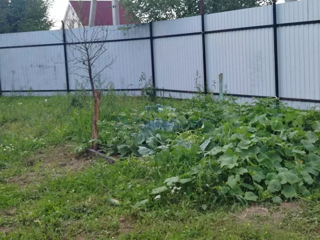 Участок в Нижегородская область, Богородский муниципальный округ, д. ... - Фото 1