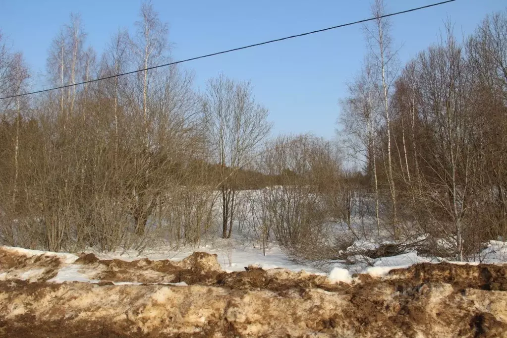 Участок в Московская область, Шаховская муниципальный округ, д. Холмец ... - Фото 1