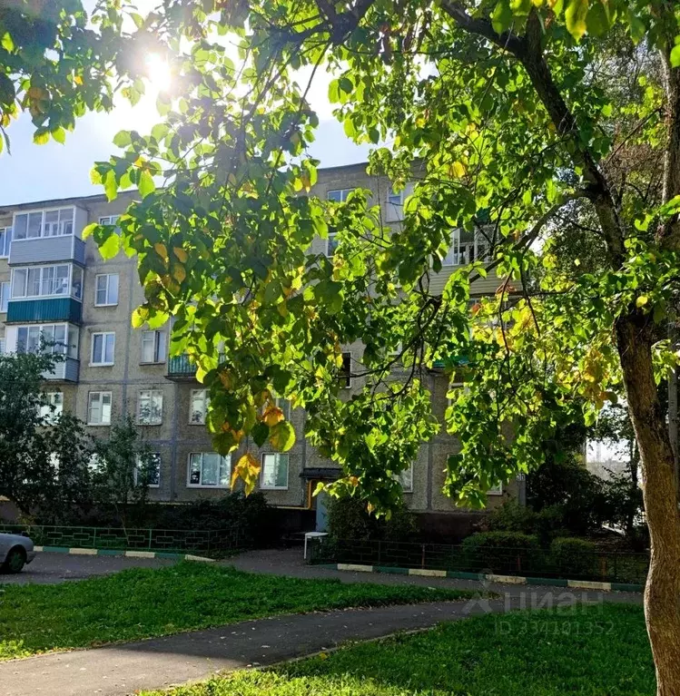 1-к кв. Московская область, Пушкино Серебрянка мкр, 56 (31.8 м) - Фото 2
