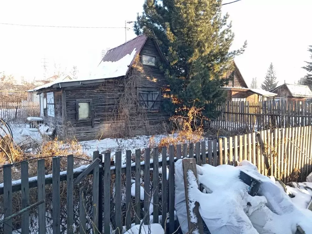 Участок в Новосибирская область, Новосибирск Радуга садовое ... - Фото 0