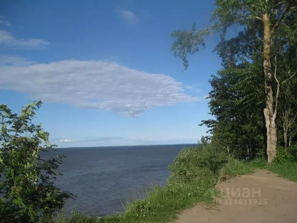 Участок в Ленинградская область, Ломоносовский район, Лебяженское ... - Фото 0
