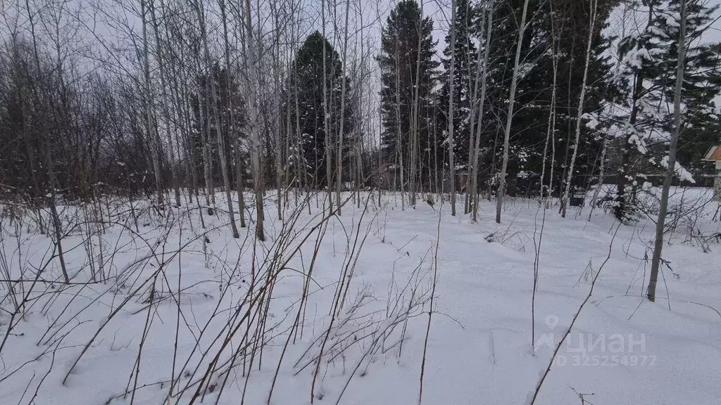Участок в Томская область, Томск пос. Родионово, ул. Родиона Осляби, ... - Фото 1