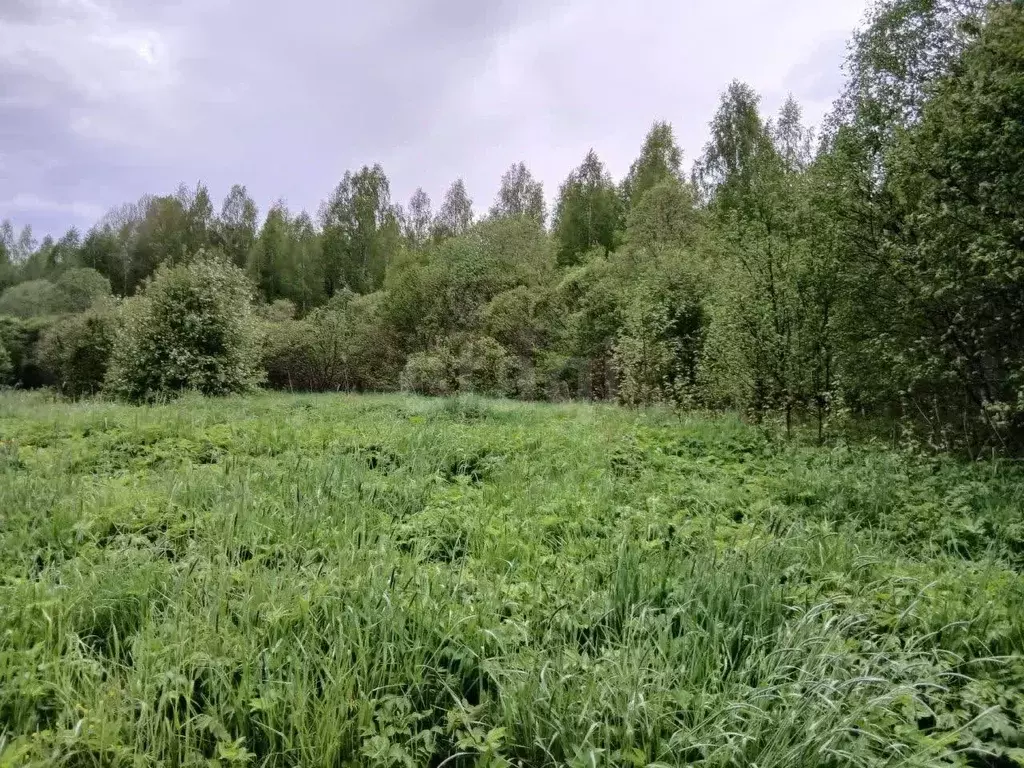 Участок в Ленинградская область, Волховский район, Пашское с/пос, д. ... - Фото 1