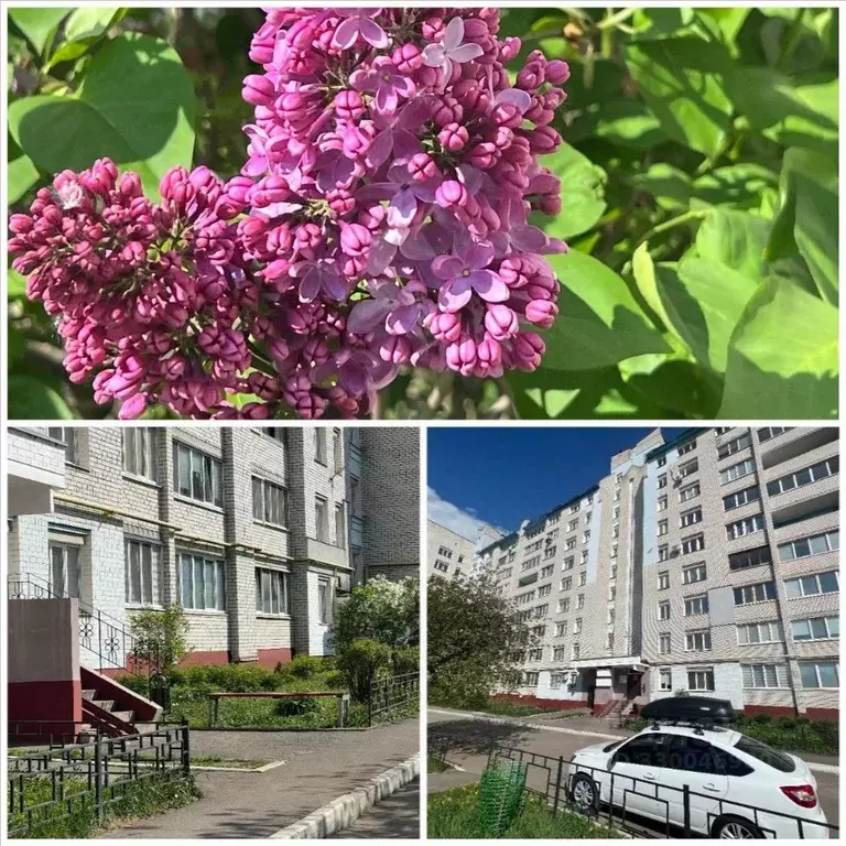 3-к кв. Брянская область, Брянск Белорусская ул., 48 (123.0 м) - Фото 1