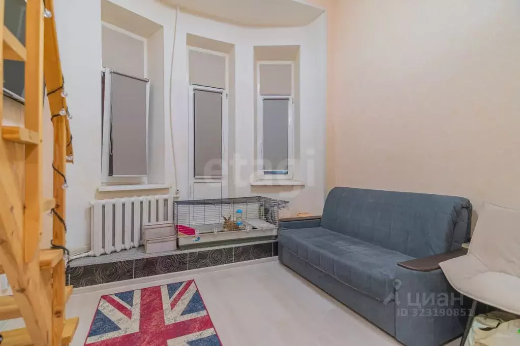 Студия Санкт-Петербург ул. Большая Зеленина, 9 (24.0 м) - Фото 2