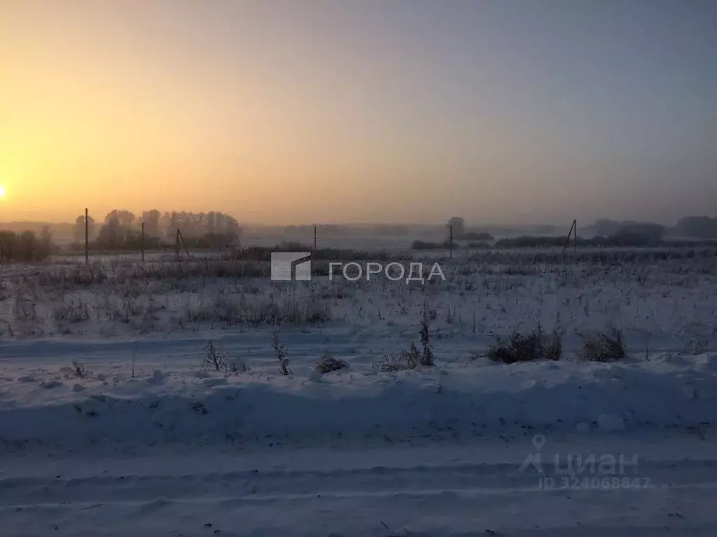 Участок в Новосибирская область, Мошковский район, с. Томилово  (10.0 ... - Фото 1