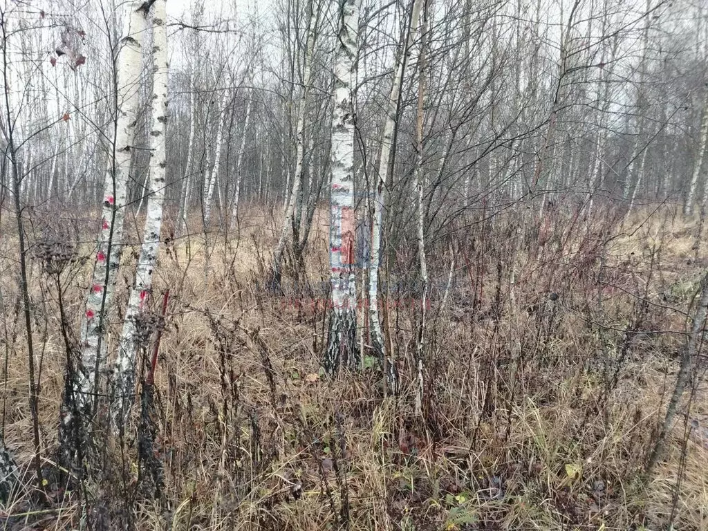 Участок в Московская область, городской округ Серпухов, деревня ... - Фото 1