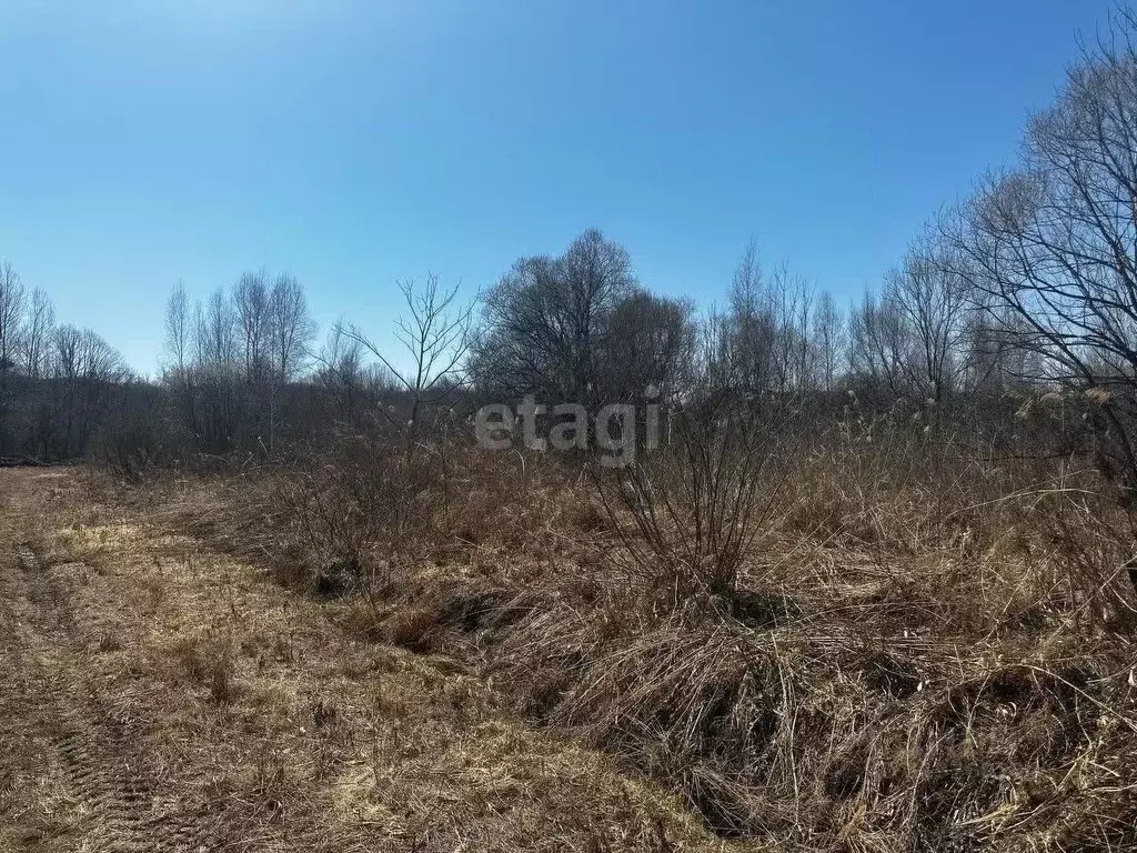 Участок в Приморский край, Арсеньев Сосновая ул. (12.0 сот.) - Фото 1