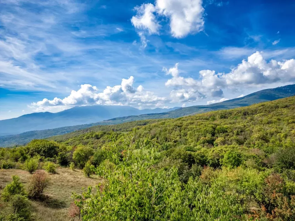 Коттедж в Крым, Алушта муниципальный округ, с. Лучистое  (170 м) - Фото 1
