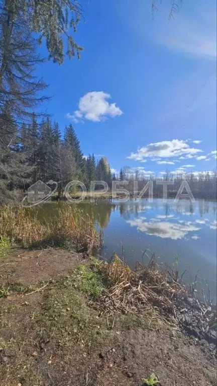 Участок в Свердловская область, Тугулымский муниципальный округ, с. ... - Фото 1