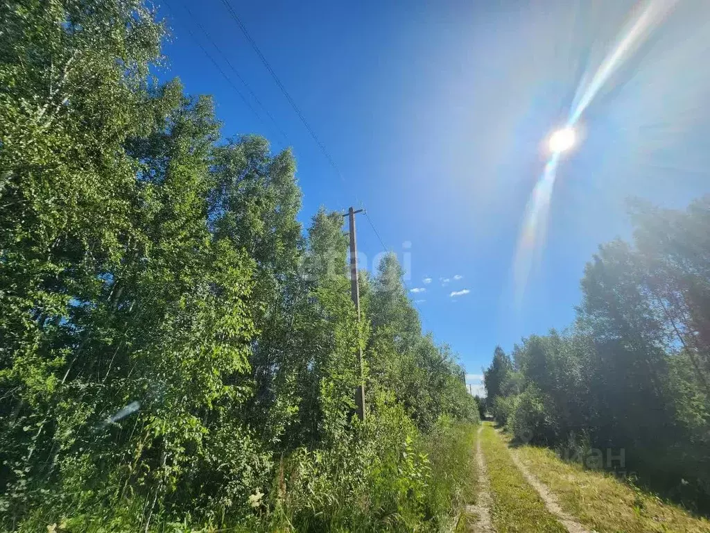 Участок в Ленинградская область, Киришский район, Кусинское с/пос, ... - Фото 2