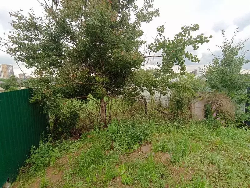 Участок в Московская область, Красногорск городской округ, д. ... - Фото 2