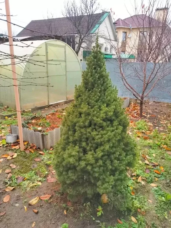 Дом в Волгоградская область, Волгоград ул. Кошута (80 м) - Фото 0