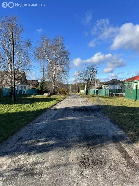 Дом в Нижегородская область, Богородский муниципальный округ, село ... - Фото 1