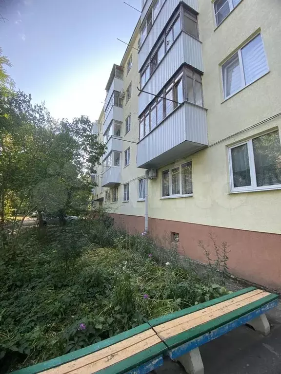 2-к. квартира, 42,5 м, 1/5 эт. - Фото 1