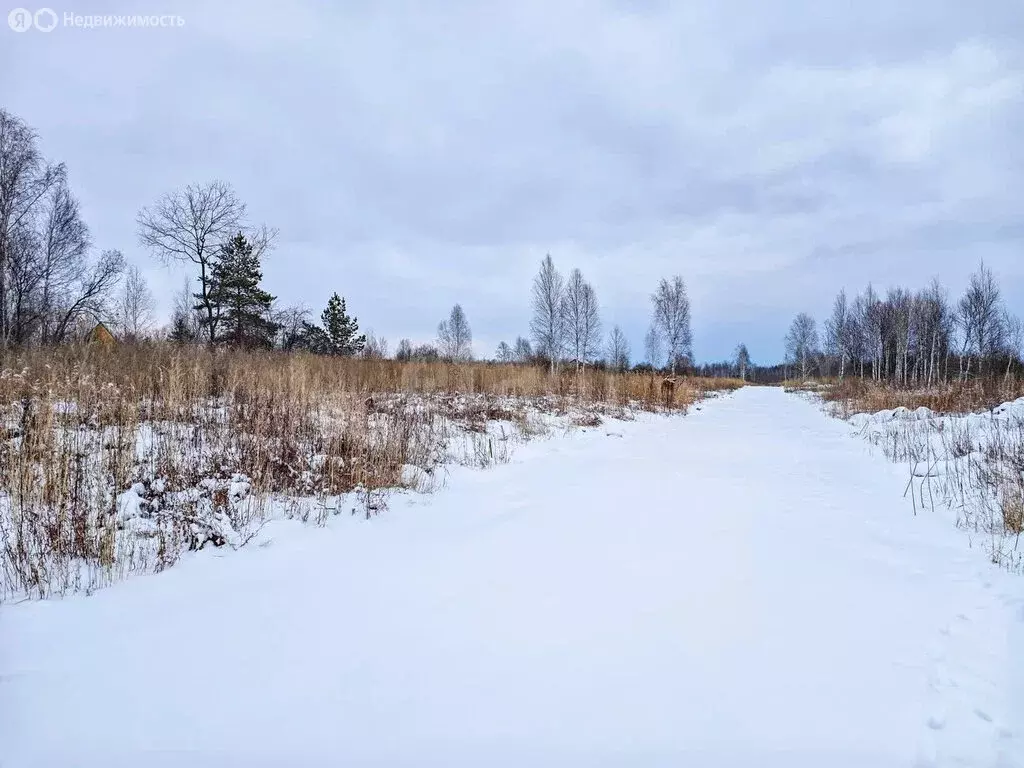 Участок в Тюневское сельское поселение, ДНТ Приозерное (26.42 м) - Фото 0