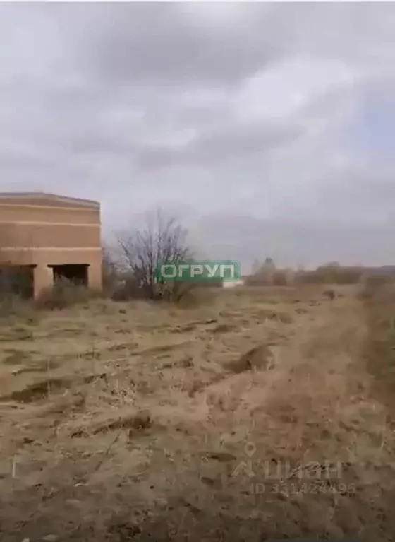 Участок в Пензенская область, Городищенский район, с. Чаадаевка ул. ... - Фото 1