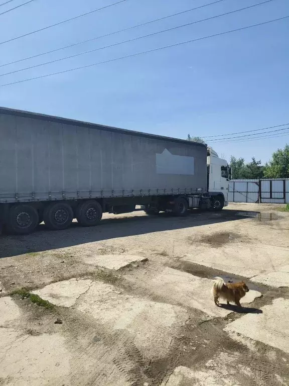 Помещение свободного назначения в Московская область, Щелково ... - Фото 0