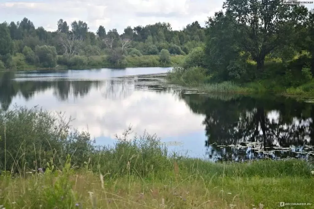 Участок в Смоленская область, Смоленский муниципальный округ, д. Рай ... - Фото 1