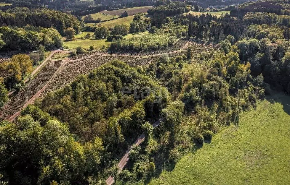Участок в Пермский край, Пермский муниципальный округ, Полюдовский ... - Фото 2
