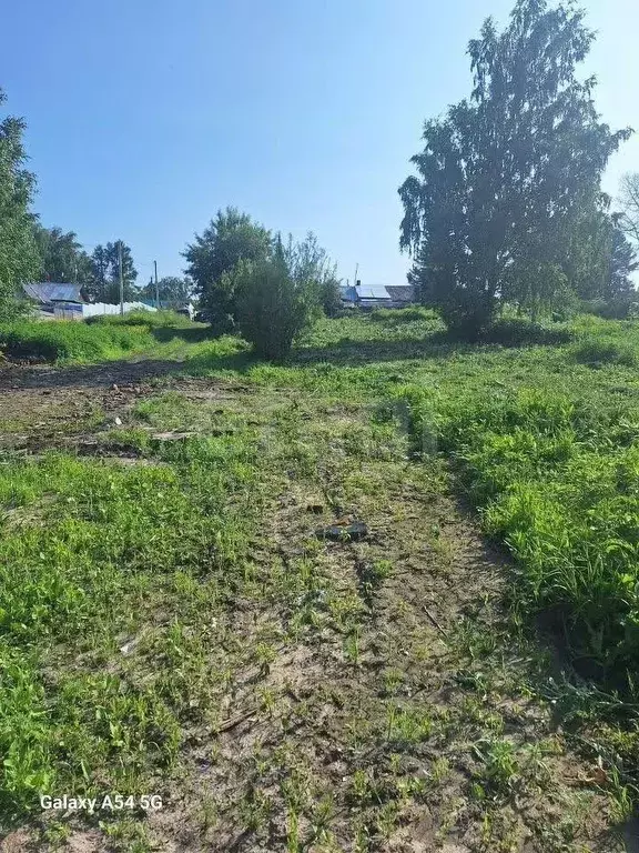 Участок в Новосибирская область, Новосибирский район, с. Раздольное ... - Фото 0