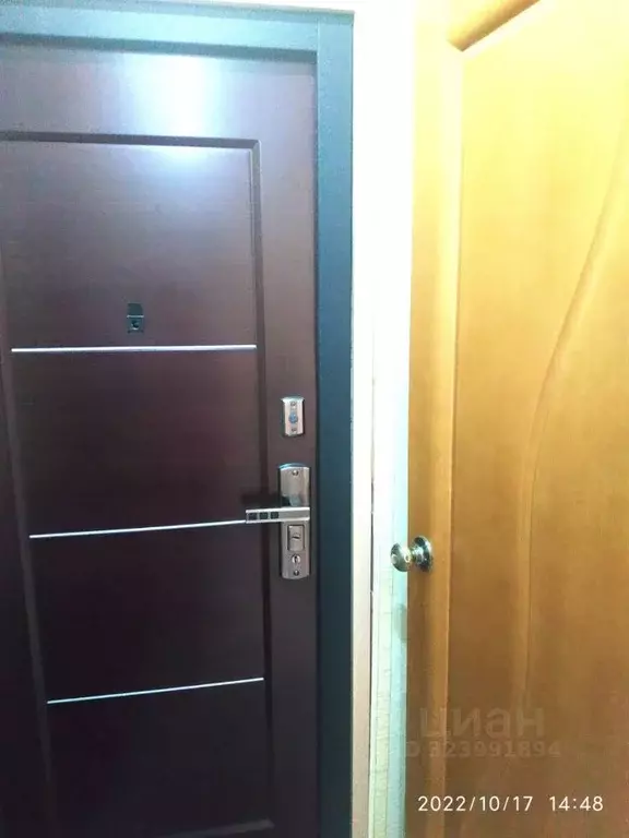 2-к кв. Новосибирская область, Новосибирск ул. Петухова, 42 (45.0 м) - Фото 1