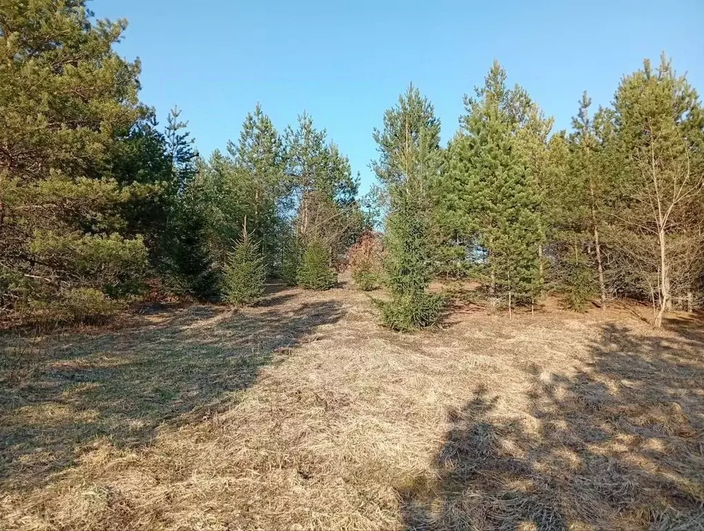Участок в Новгородская область, Демянский муниципальный округ, д. ... - Фото 1