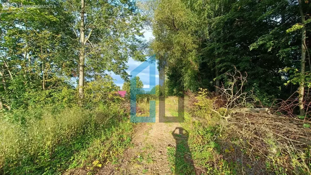 Участок в Московская область, городской округ Клин, деревня Борисово ... - Фото 1